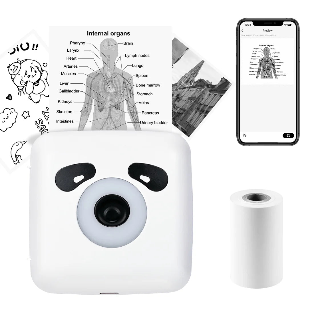 TP6 Pocket Sticker Printer,Portable Bluetooth Pocket Phone Printer for Anatomy Flashcards, Journal, Photos, Notes, Kids Gift